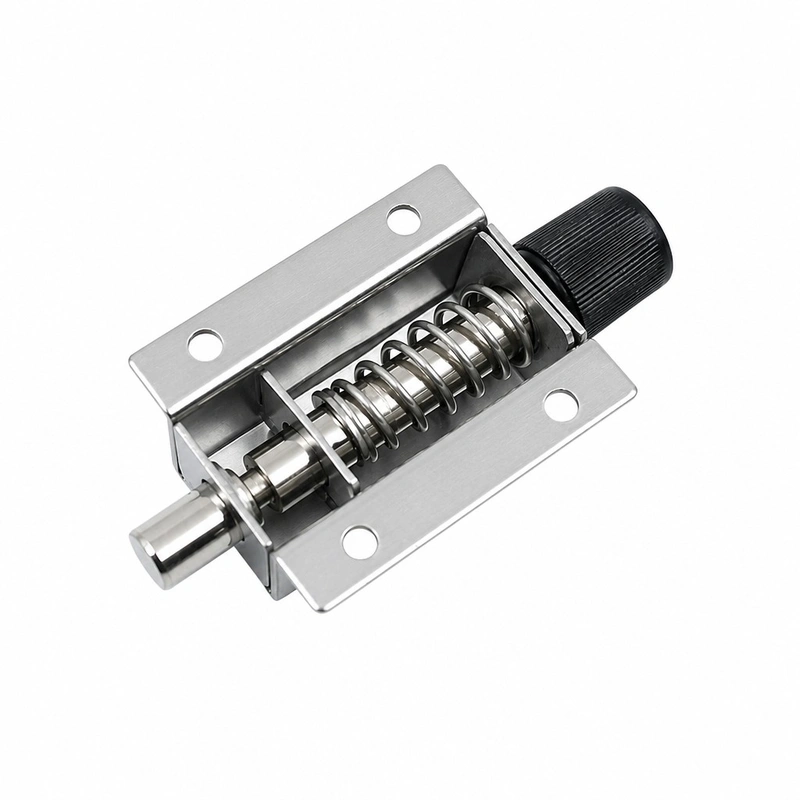 Hasp lock DK611